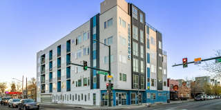 Tennyson44 Gallery 1