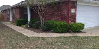 1509 Fianna Place Court Gallery 1