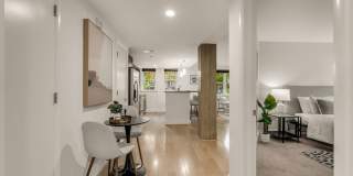 Stunning 1 Br 1 bath apartment in Bloomingdale Gallery 3