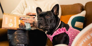 Arrive Paso Robles Gallery 41