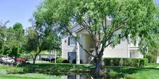 Carriage Crossing Gallery 37