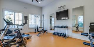 The Mark on Solon Gallery 4