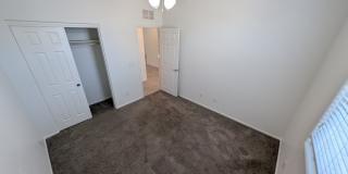 664 Vetiver Lane Gallery 18