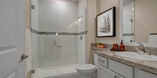 Latitude 31 Gallery 7