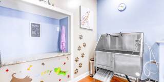 Affordable Housing - Elan at Mallard Creek Apartment Homes Gallery 49