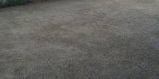 SPECIAL!  2 Bedroom/2 bath Condo - 1/2 half rent second month Gallery 1