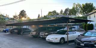 Dolphin Apartments Gallery 38