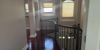 1840 Diamond Woods Circle Gallery 10