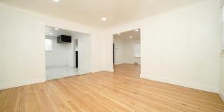 243 Newport Street Gallery 17