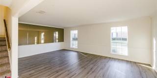 65 Tealwood Street Gallery 26
