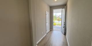 3379 Yellow Cassia Dr Gallery 8