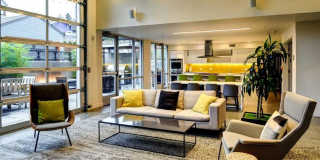 Janus Janus Gallery 7