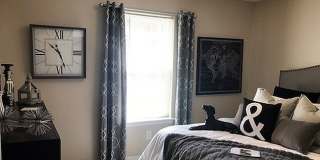 Live Oaks at 275 Gallery 2