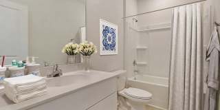 153 Pembroke Street Gallery 4