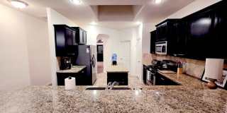 7309 Raphael Gallery 12