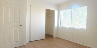 22852 Hilton Head Drive Gallery 9