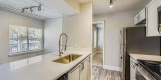 Rise Fossil Creek Gallery 66