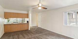 Native Sun Gallery 5