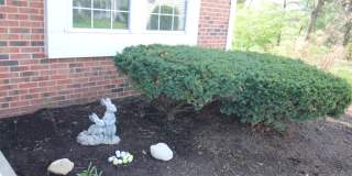 7769 Spyglass Hill Court Gallery 50