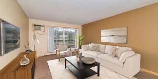 Sun Cliffe Gallery 5