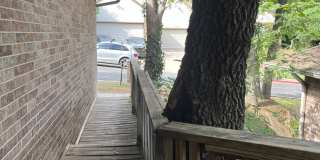 1718 Windhill Avenue - 1 Gallery 1