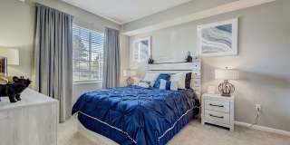 Elevate at Red Rocks Gallery 8