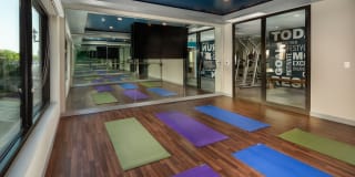 Pierside South Gallery 16