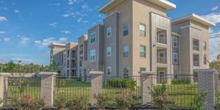 Territory at Greenhouse Gallery 25