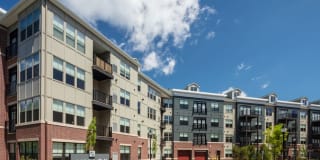 Avalon Maplewood Gallery 30