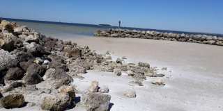 1209 APOLLO BEACH BOULEVARD Gallery 31