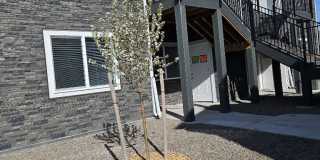 1615 Grand Harmony Boulevard - 102 1615 Grand Harmony Boulevard - 102 Gallery 1