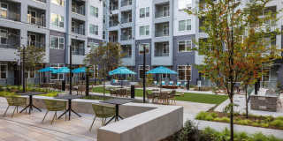 The Blake Optimist Park Gallery 37