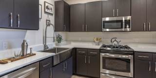 Yacht Harbor Club Gallery 20