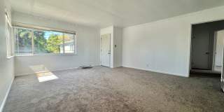 Triplex - Upstairs unit - Large 2bd 1ba located in Maxwell Park Gallery 1