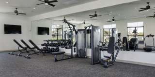 Local Dripping Springs Local Dripping Springs Gallery 33