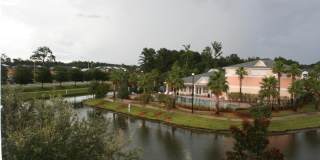 8215 GREEN PARROT Road Gallery 22