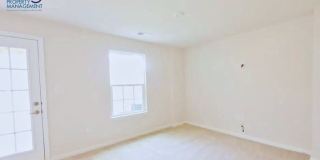 2424 Pocoson Wood Court - 1 Gallery 15