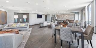 Terra at University North Park Gallery 24