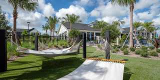 Alta Citron Gallery 95