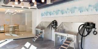 Ello House Gallery 31