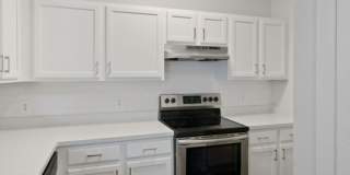 Alvista Bowie Gallery 12