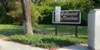 LOCATION, LOCATION 2 Bedroom 2 Bathroom Condo Gallery 1