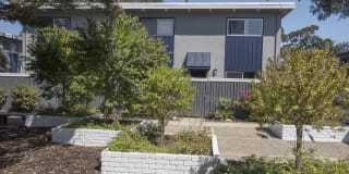 Monterey Townhouse Gallery 75