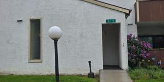 115 CHARLOTTE WAY Gallery 1