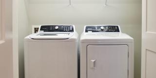 Park and Broad Gallery 16