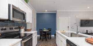 Paragon Luxury Apartments Gallery 22