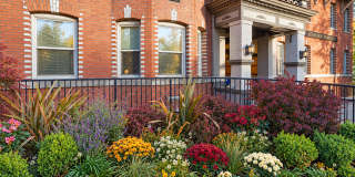 Ben Lomond Gallery 1
