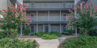 Serene at Woodlake Gallery 2