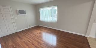 185 185 Gallery 1