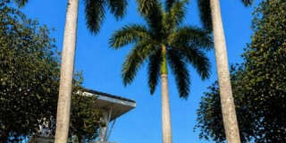 246 Barbados Drive Gallery 34